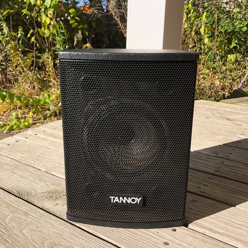 One tannoy dual - one, 8"